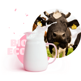 сarafe of milk and cow